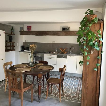 Appartement Climatise Avec Terrasse Carcassone Exterior photo